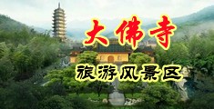 最新少妇爽片中国浙江-新昌大佛寺旅游风景区
